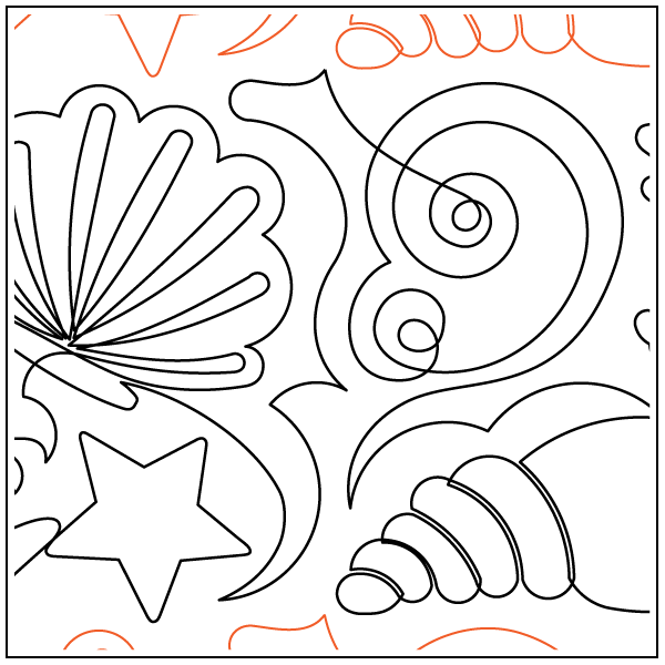 Seashells